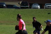 OTFL Gallery Image